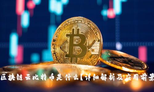 区块链云比特币是什么？详细解析及应用前景