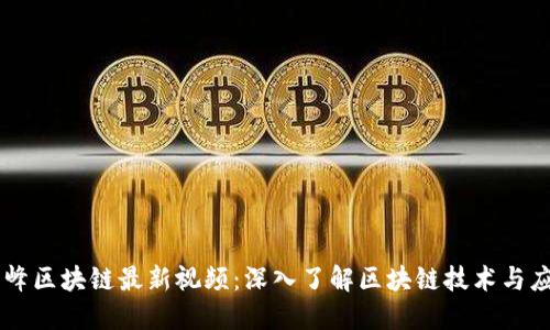 刘峰区块链最新视频：深入了解区块链技术与应用