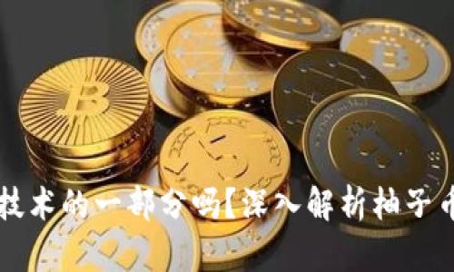 柚子币是区块链技术的一部分吗？深入解析柚子币与区块链的关系