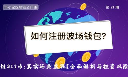 区块链SIT币：真实还是虚假？全面解析与投资风险评估