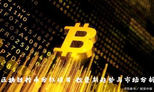 区块链持币分红项目：投资新趋势与市场分析