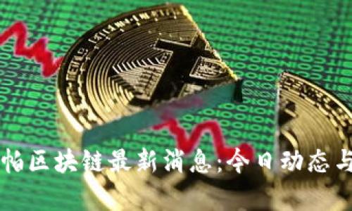 卡斯帕区块链最新消息：今日动态与分析