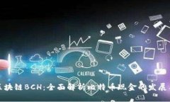 最新区块链BCH：全面解析比特币现金的发展与未