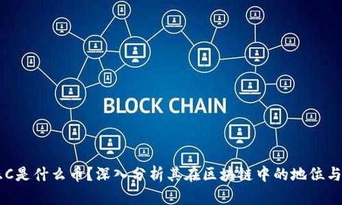 SE正C是什么币？深入分析其在区块链中的地位与应用