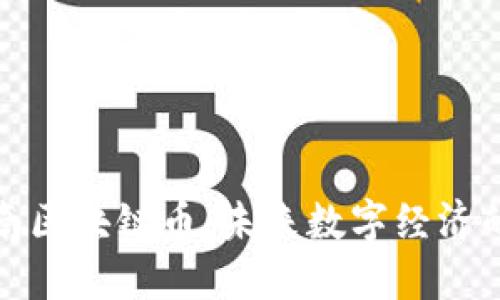 深圳中南区块链币：未来数字经济的新机遇