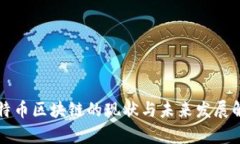 比特币区块链的现状与未来发展解析