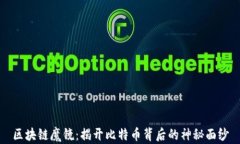 区块链魔镜：揭开比特币背后的神秘面纱