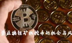 现在投资区块链矿机挖币的机会与风险分析